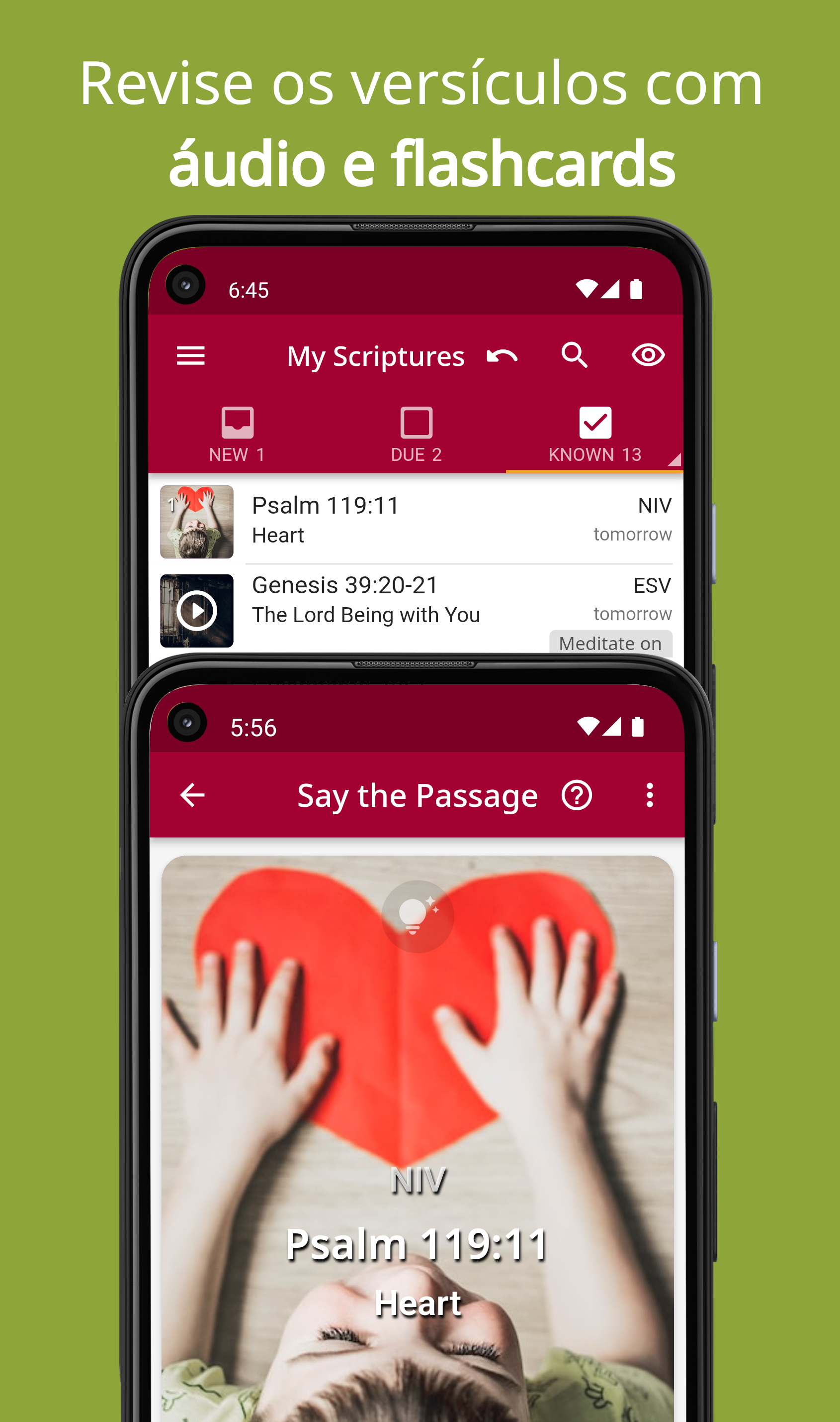 Revise os versículos com áudio e flashcards